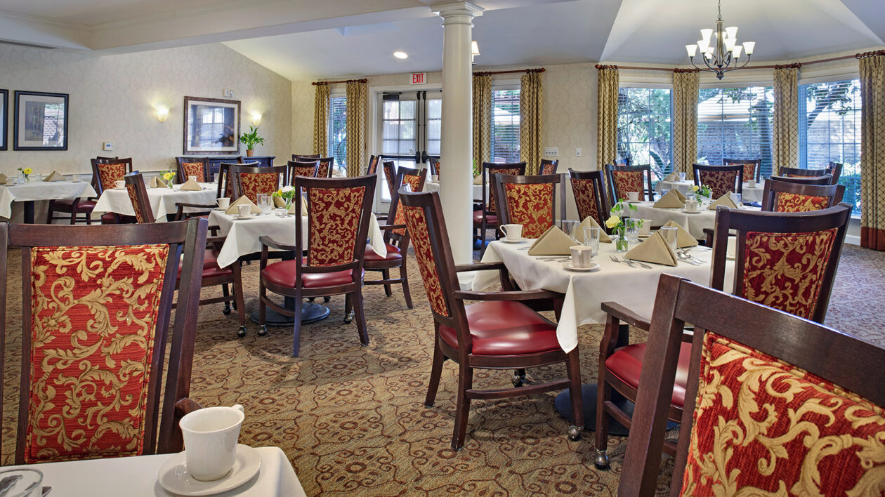 Ivy Park at La Palma dining area with chairs around tables