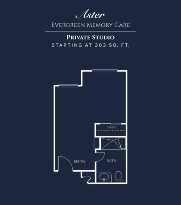 Floor Plans for the Aster unit.