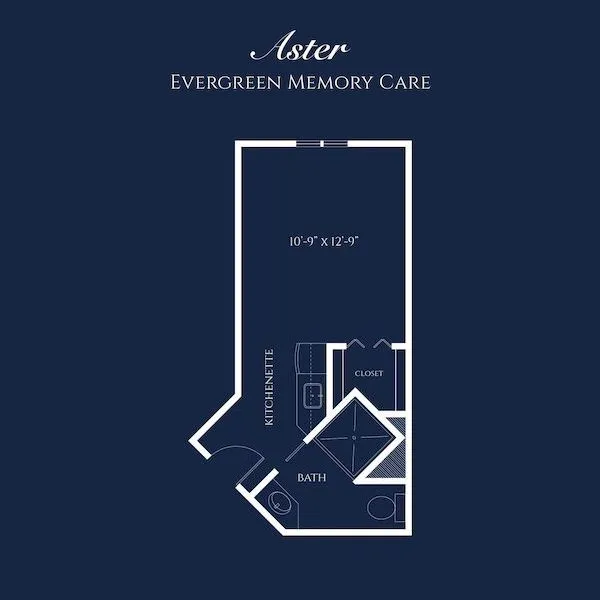 Floorplans Ivy Park At Murrieta