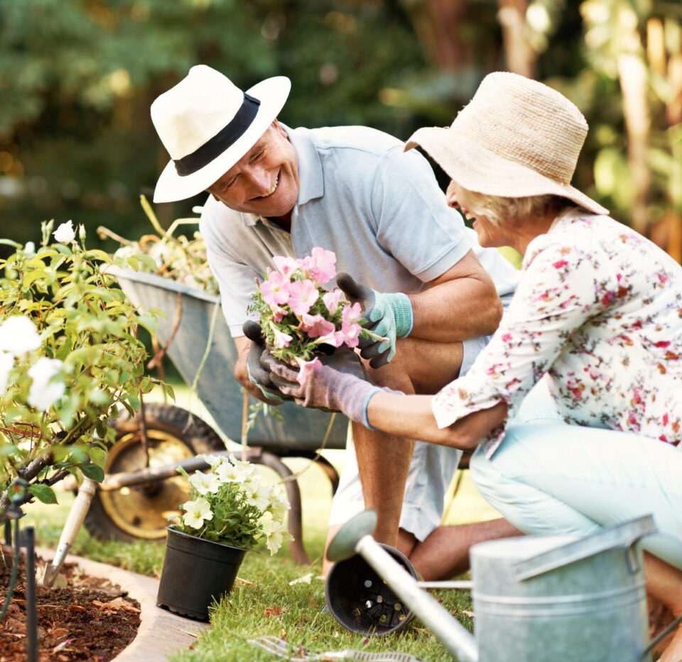 Shot of a smiling senior couple gardening in their yard