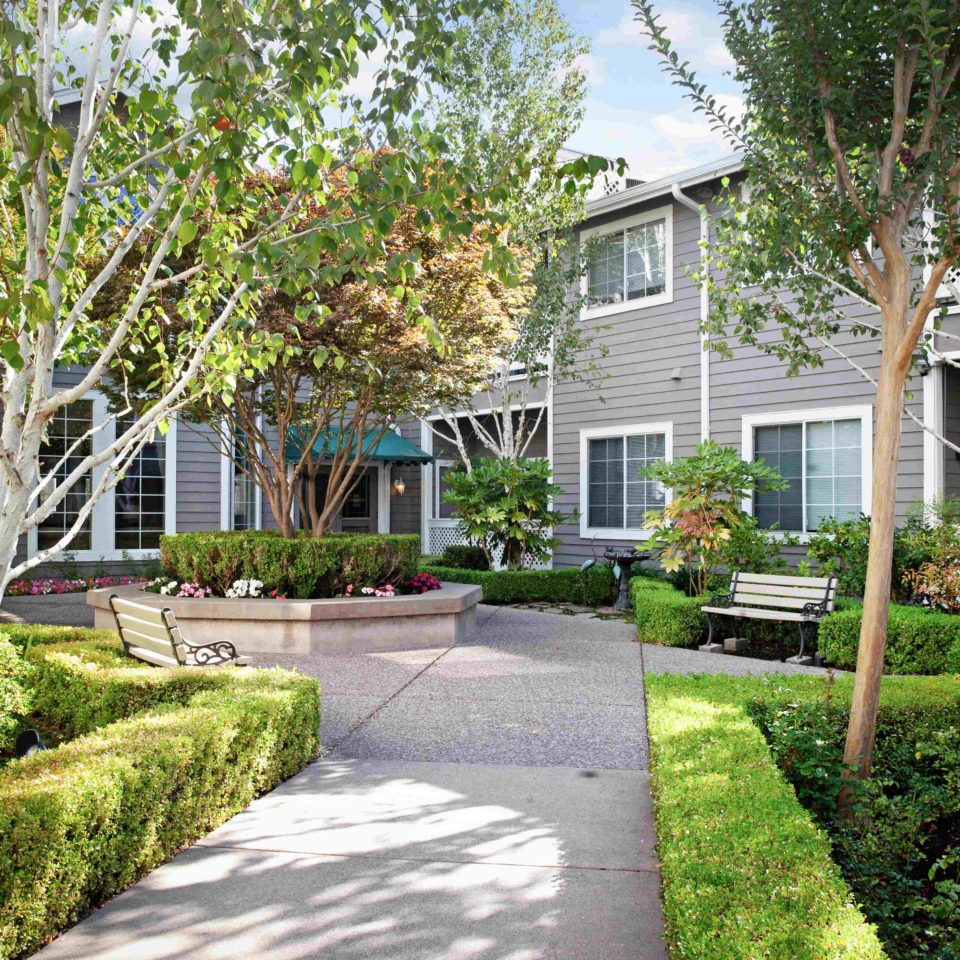 Outdoor courtyard with benches and greenery.