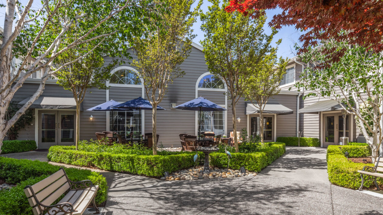 A courtyard at Ivy Park San Ramon with stone walkways, bright green hedges, and thin, tall trees.