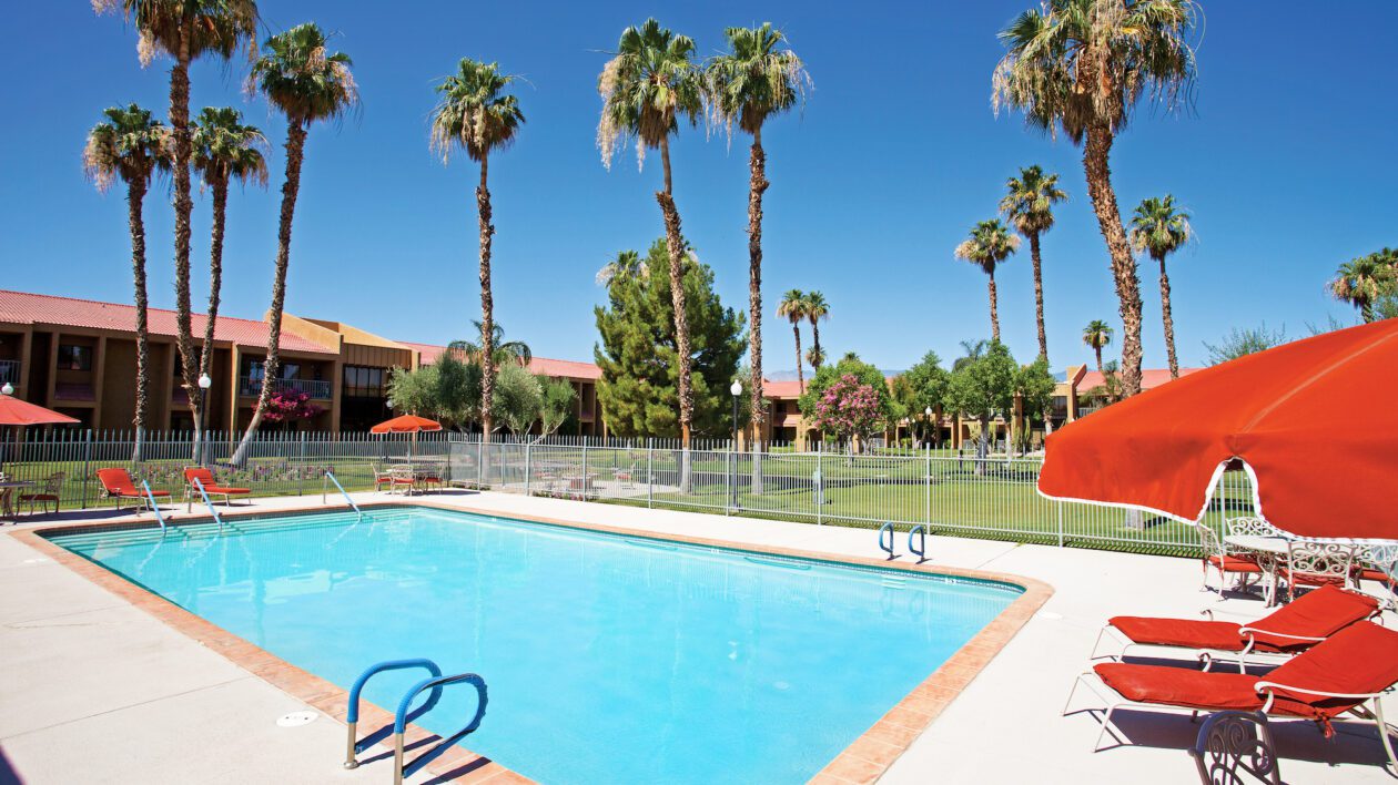palm trees around an outdoor pool