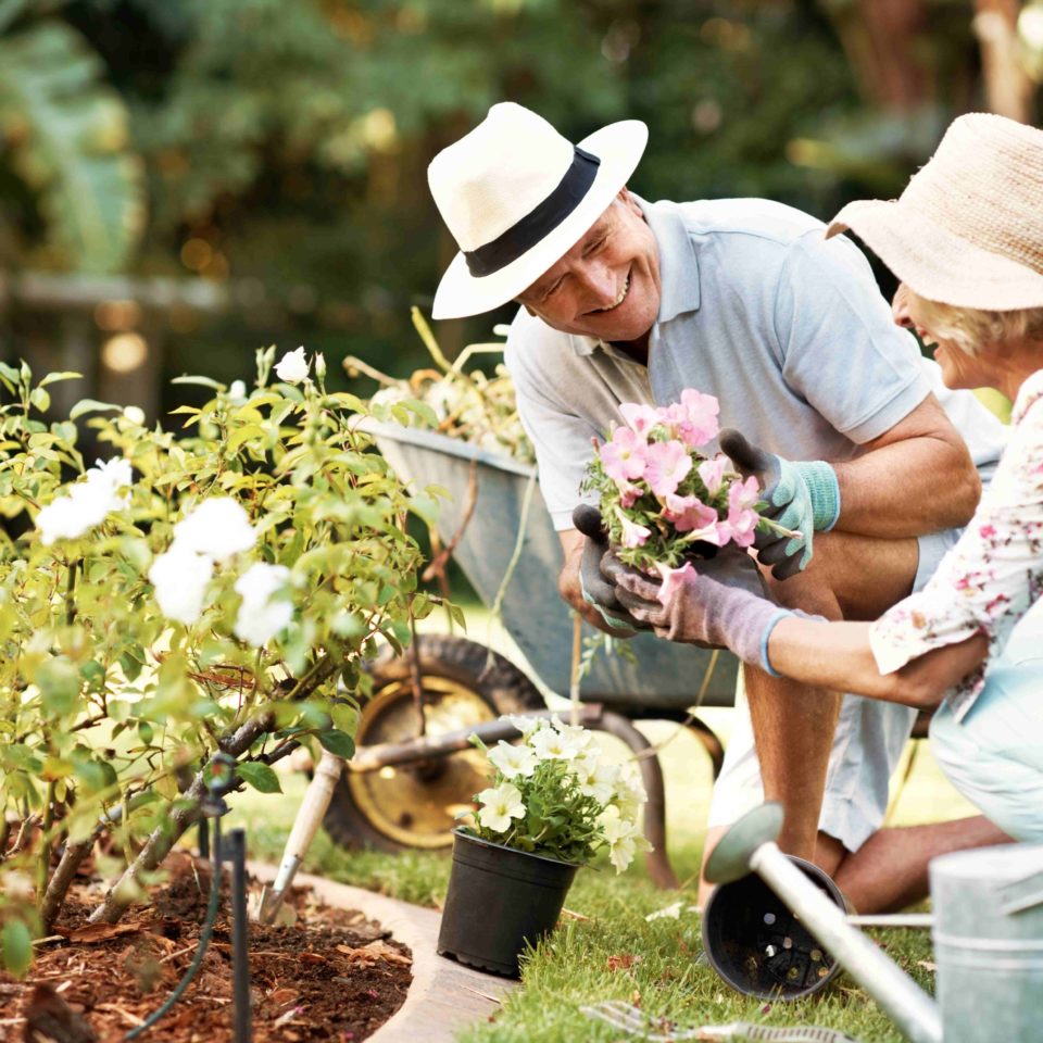 A man and woman planting flowers in a garden.