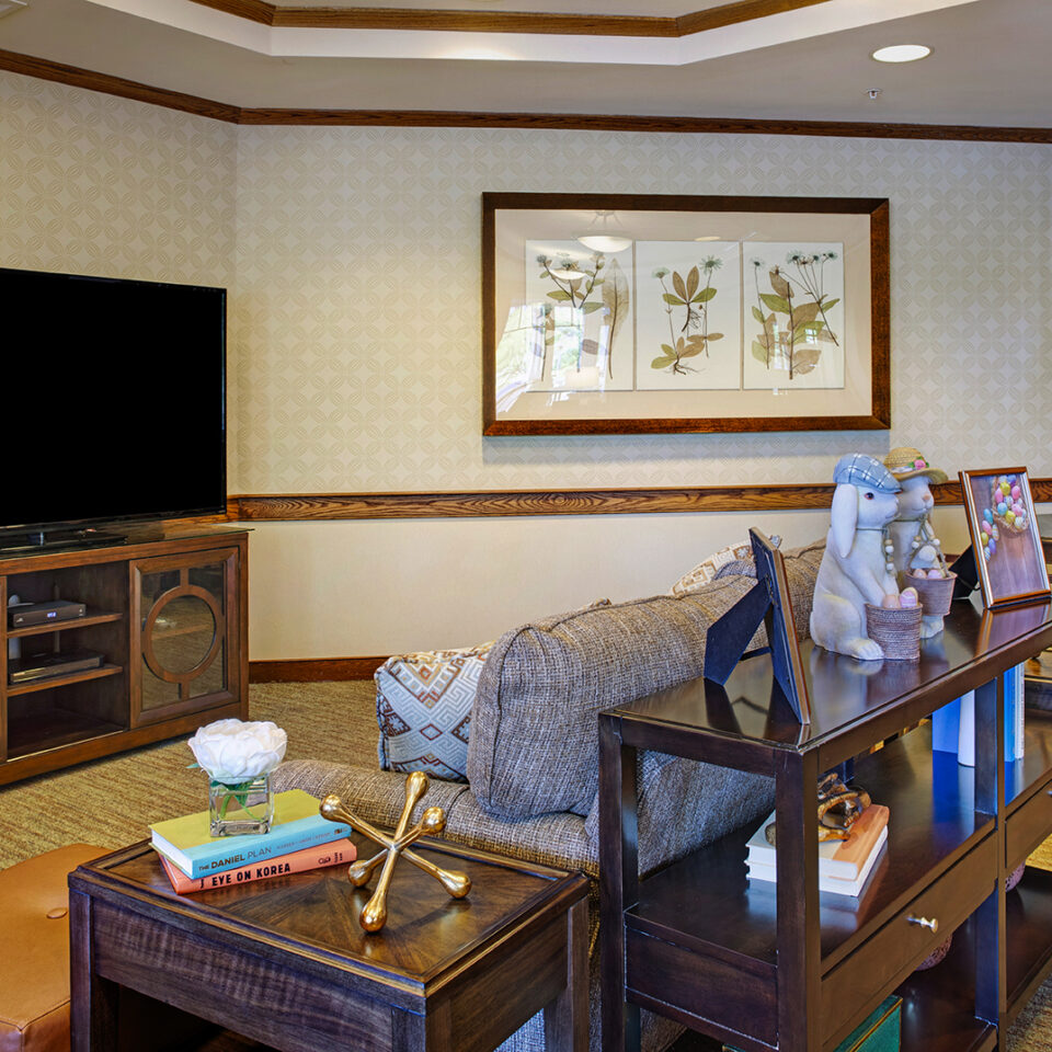 Ivy Park at Wood Ranch living room area with tv