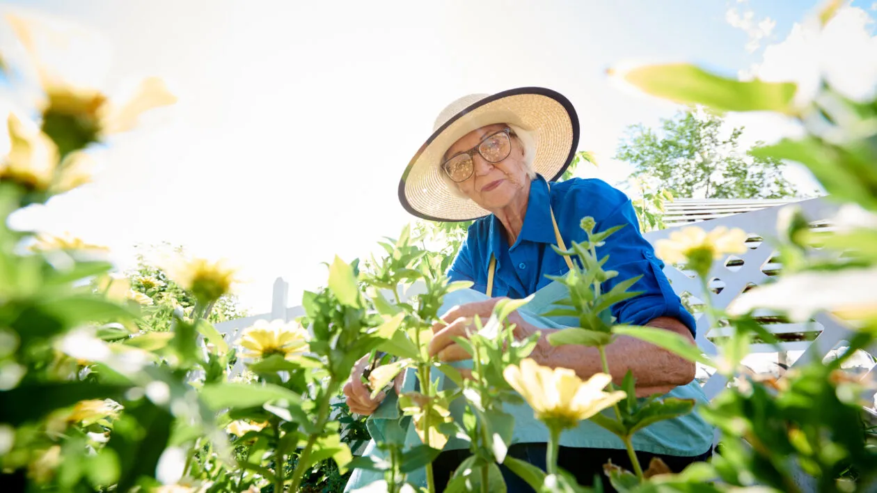 senior-woman-wearing-hat-in-a-garden-with-flowers-on-a-sunny-day