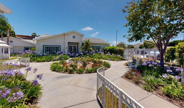 Ivy Terrace at Garden Grove