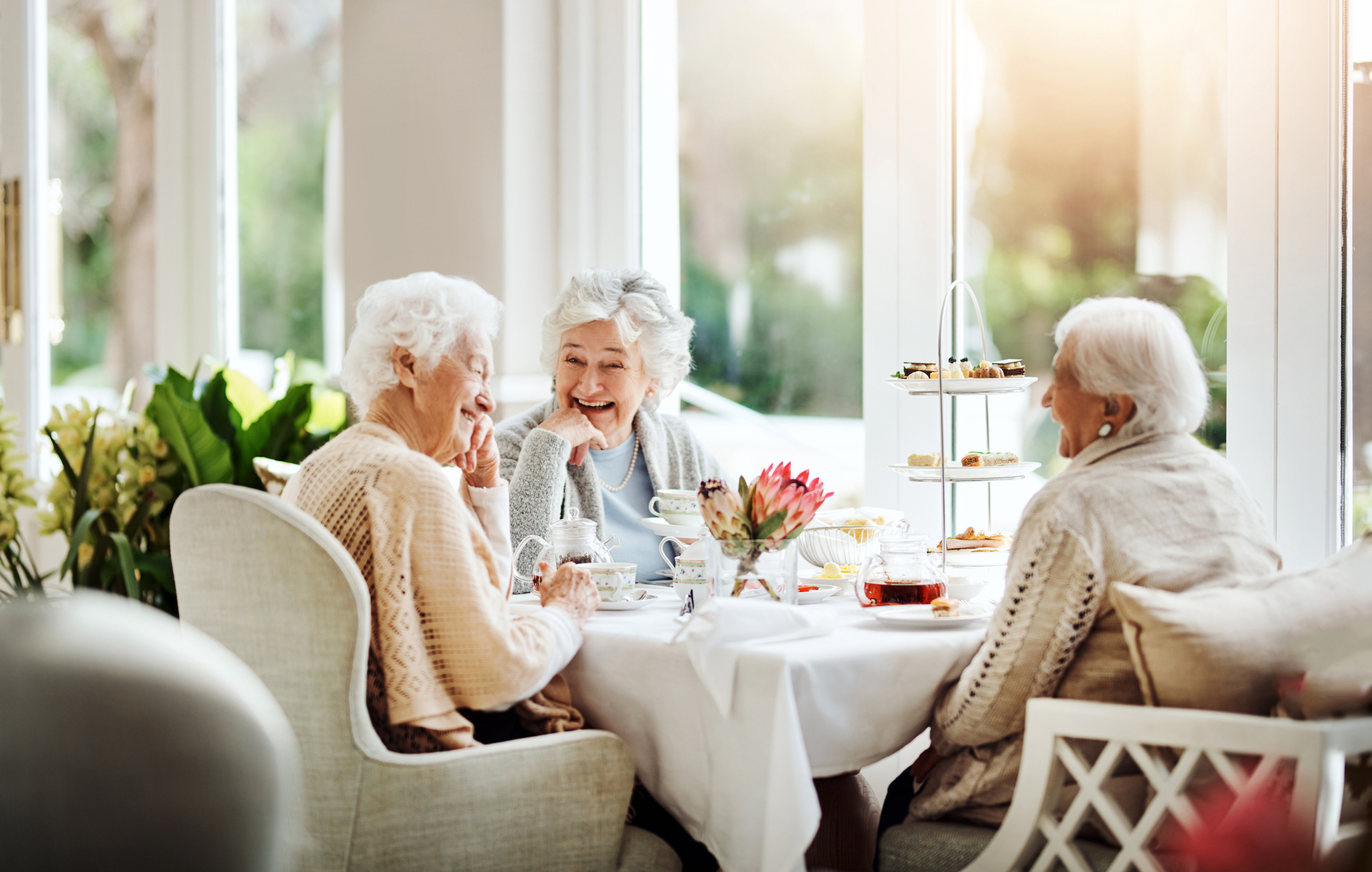 Senior women enjoying tea together at a senior living community.